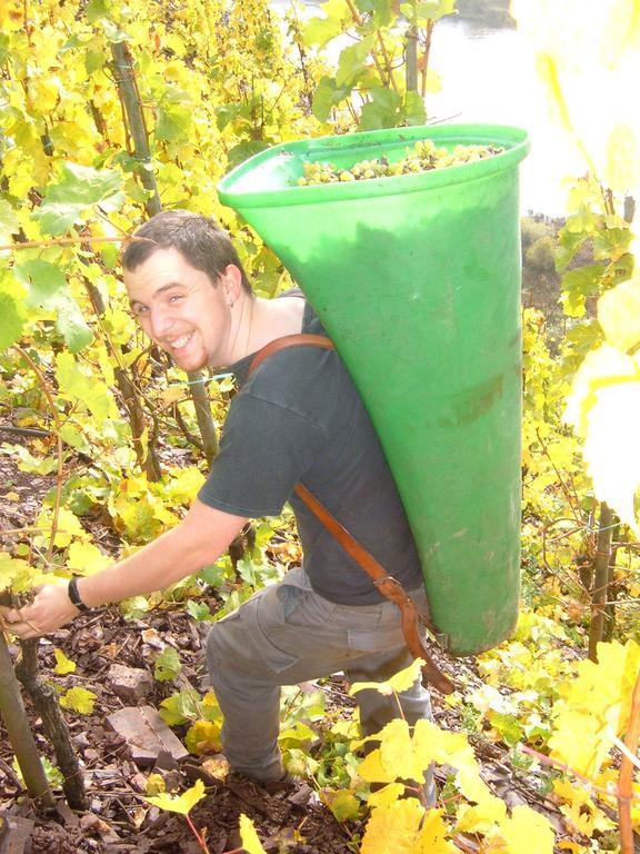 Kleines Winzerhauschen Villa Bremm Værelse billede