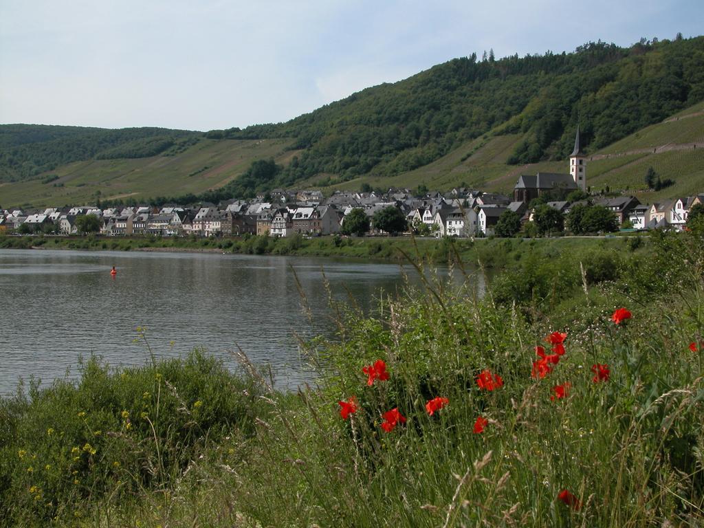 Kleines Winzerhauschen Villa Bremm Værelse billede