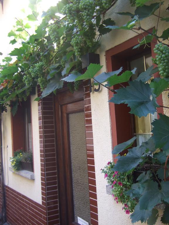Kleines Winzerhauschen Villa Bremm Eksteriør billede
